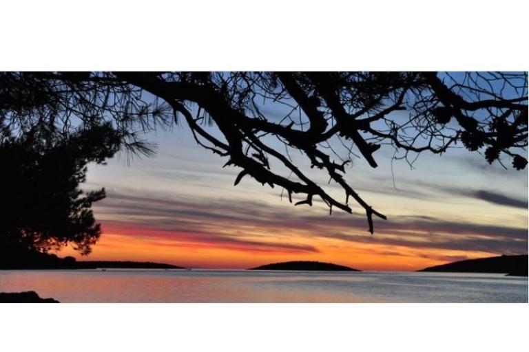 Apartmány Oliva - Otok Šolta – foto 11