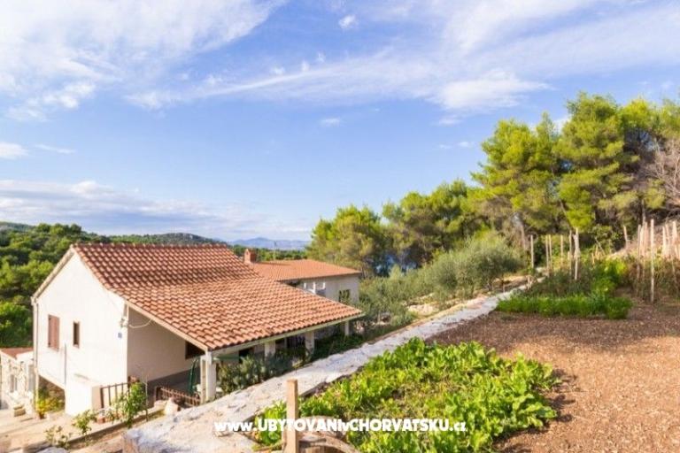 Apartmány Solta – foto 16