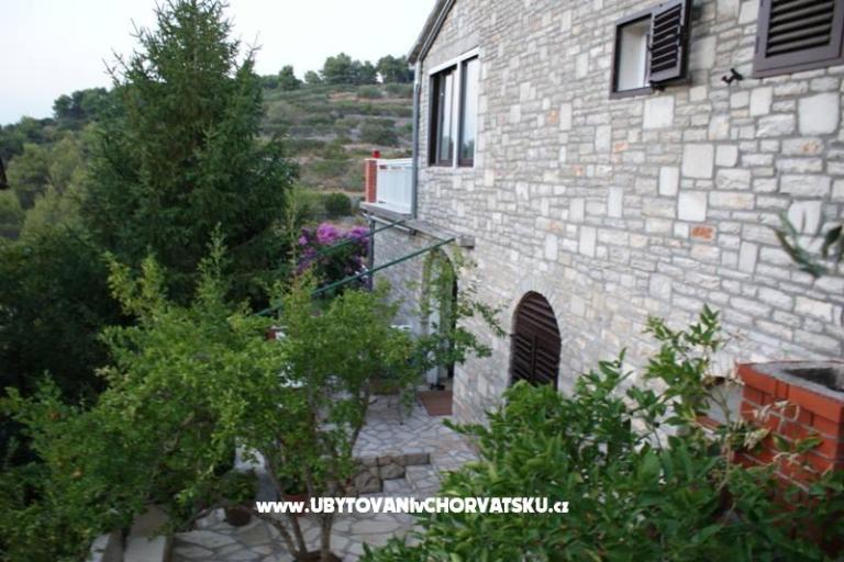 Villa Palmira – foto 8