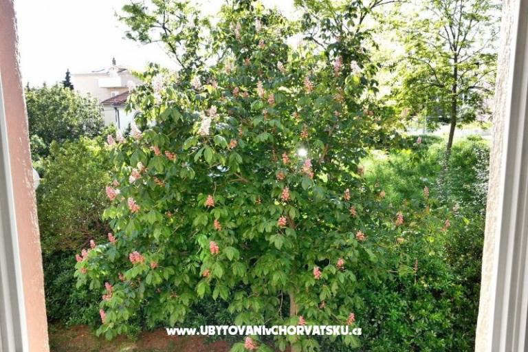 Apartmán Bol - Split – foto 4