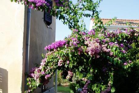 Apartmán Nevica – foto 16