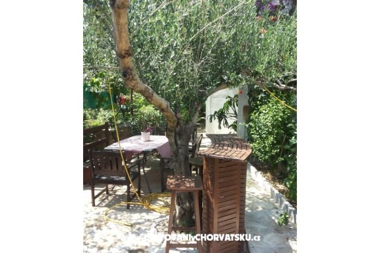 Apartmány SILVA /                  – foto 12