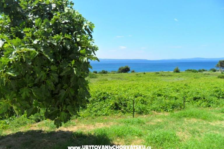 Summerhouse Belomo – foto 3