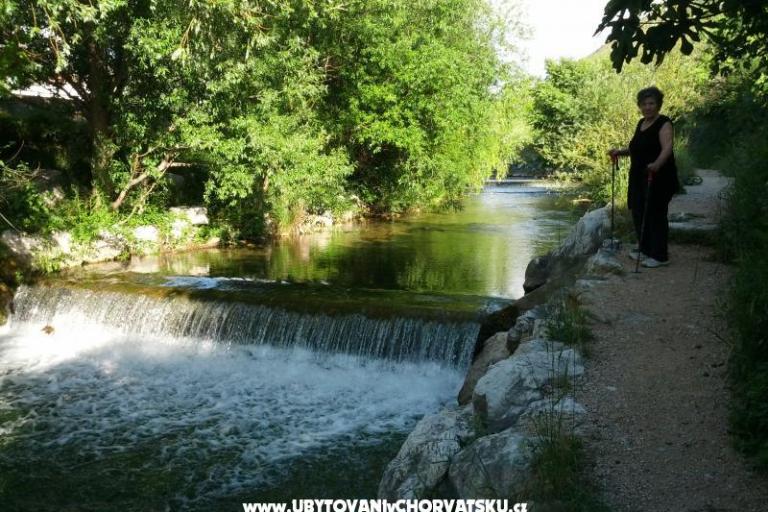 Whole house &amp; garden only for you – foto 13