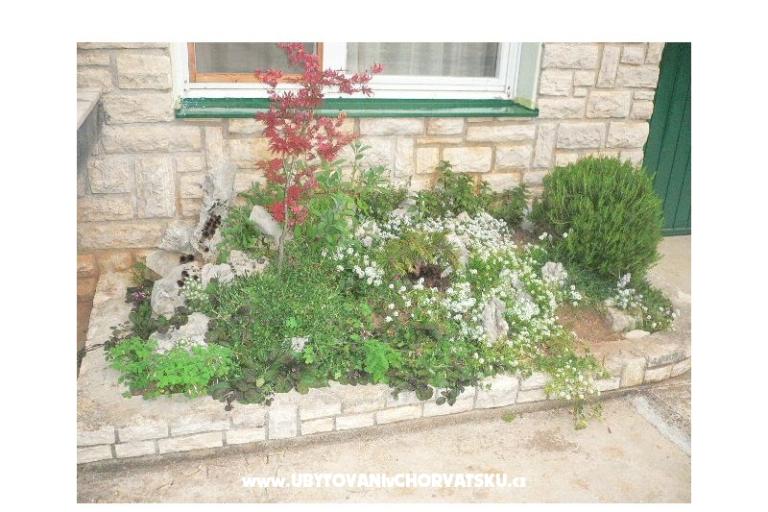 Prázdninový dom Goga – foto 4