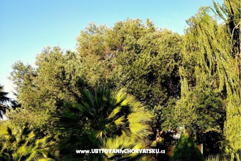 Apartmány DARIO - Sukošan – foto 37