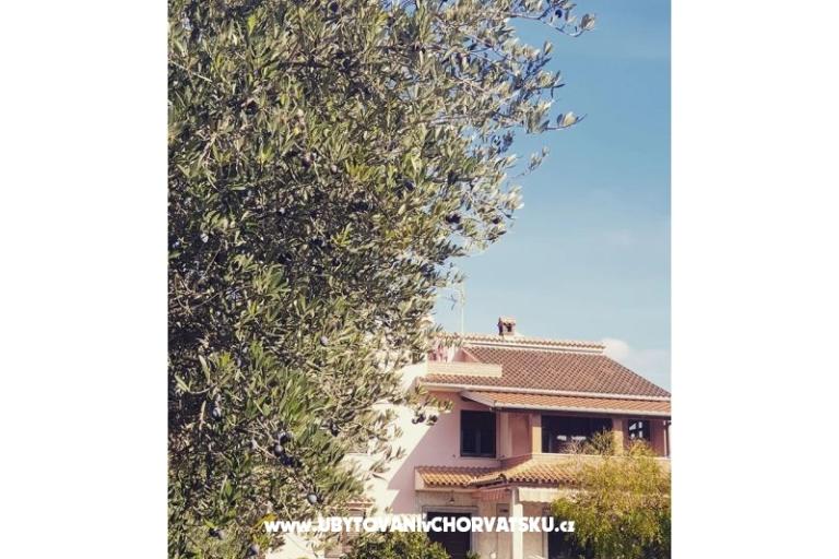 Apartmány DARIO - Sukošan – foto 54