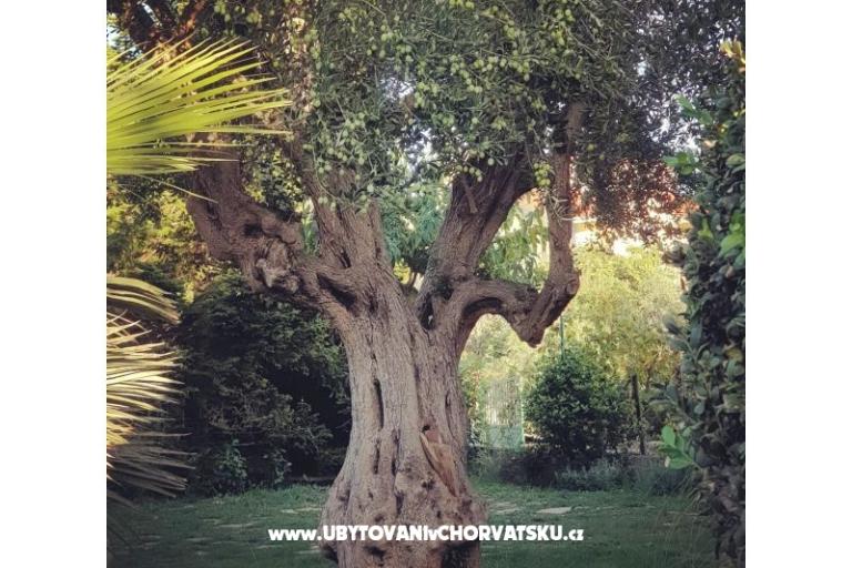 Apartmány DARIO - Sukošan – foto 55