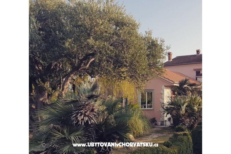 Apartmány DARIO - Sukošan – foto 77