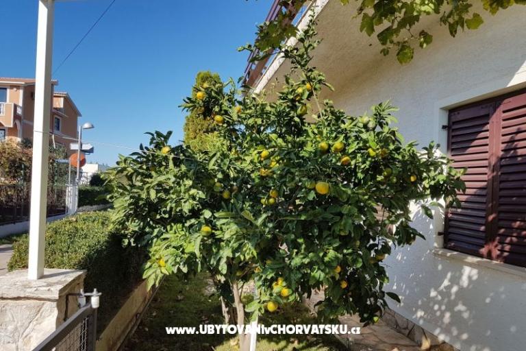 Apartmány Žeger – foto 13