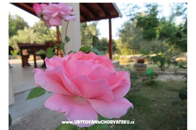 Prázdninový dom Dević – foto 2