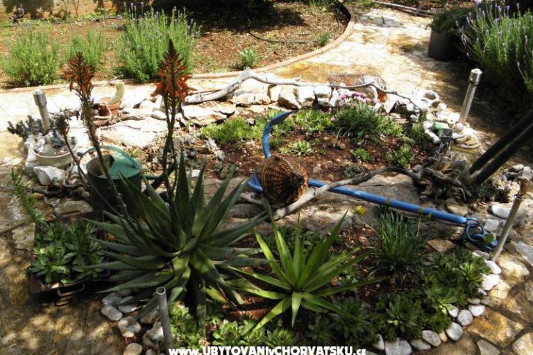 Prázdninový dom Ivana – foto 17