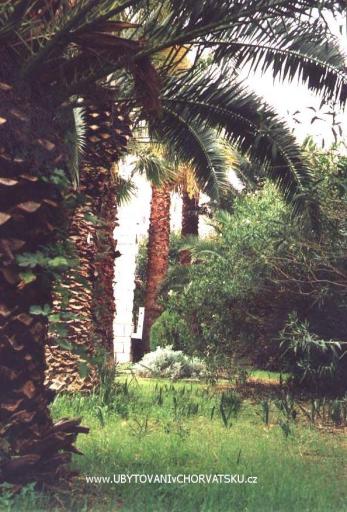 Villa Palma – foto 6