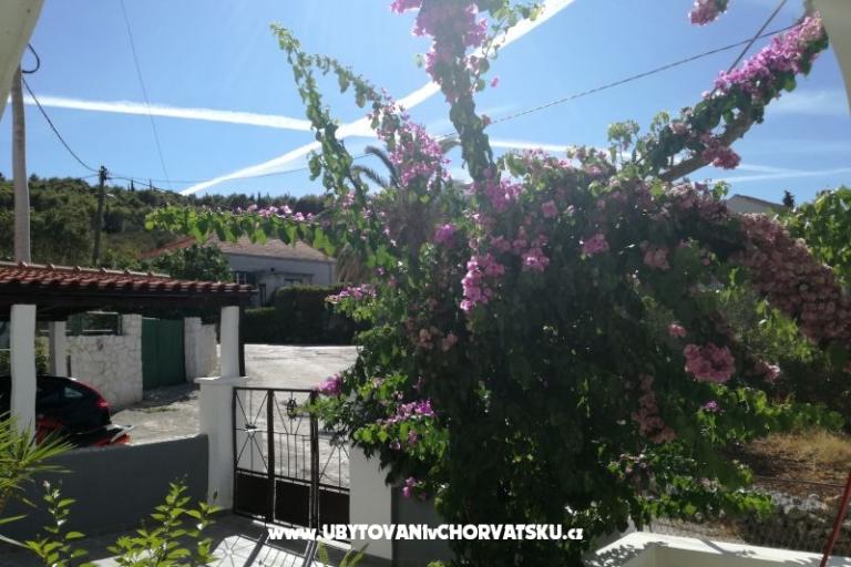 Apartmán Ivica – foto 18
