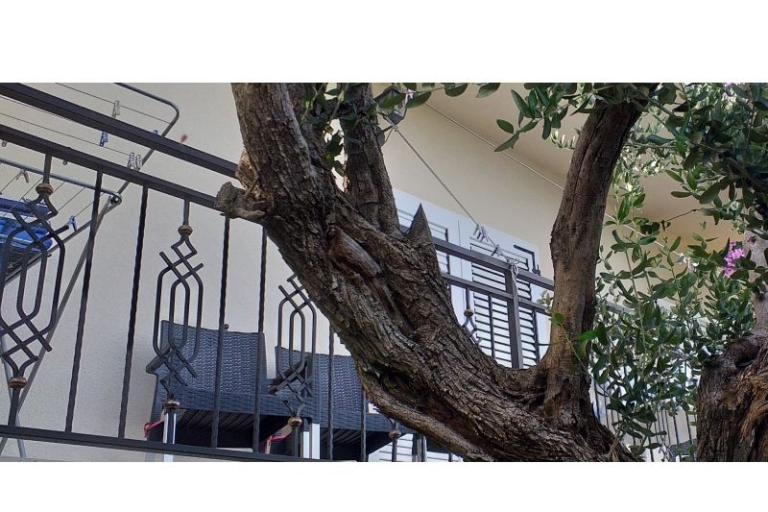 Apartmán Monika – foto 17