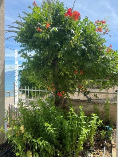 Apartmány Adria – foto 20