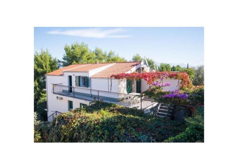 Apartmány Anka – foto 12