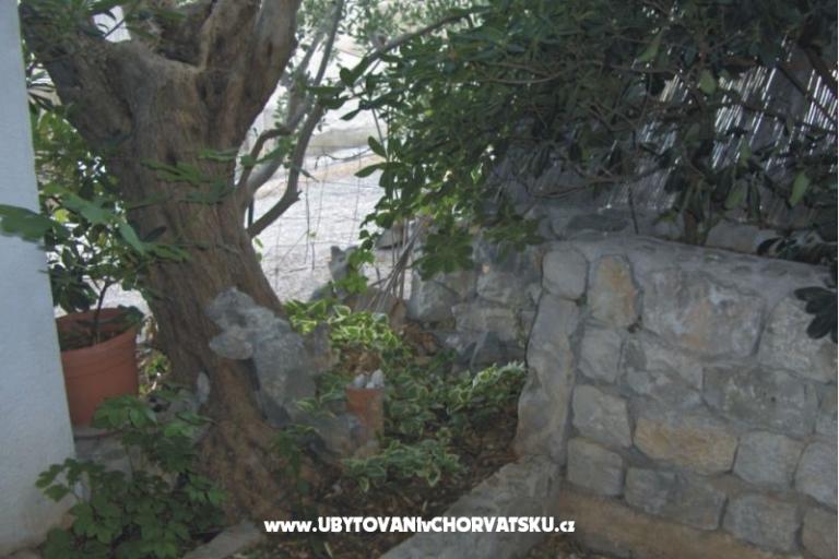 Apartmány Boa  – foto 16