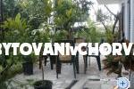 Apartmány Gardijan – foto 8