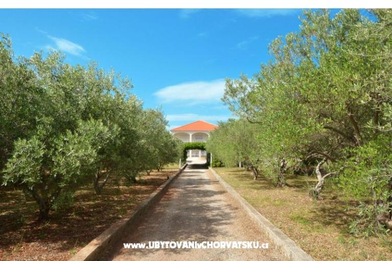 Apartmány Lukas – foto 11