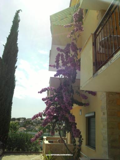 Apartmány Mia – foto 8