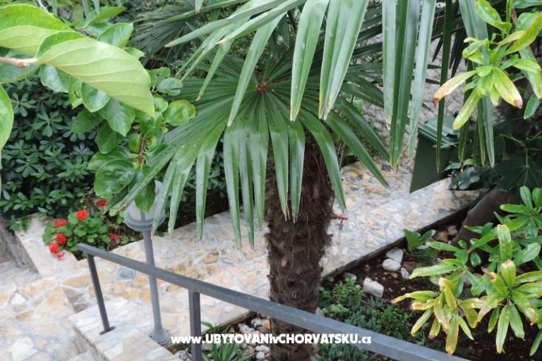 Apartmány Natasa – foto 16