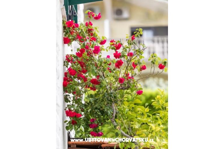 Apartmány Marina – foto 33