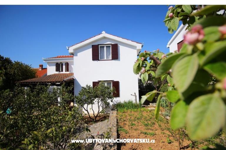 Apartmány NIKA – foto 4
