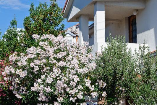 Apartmány Ruža – foto 2