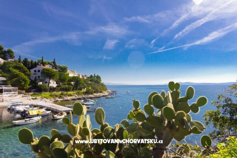 Apartmány ŠUKI – foto 5