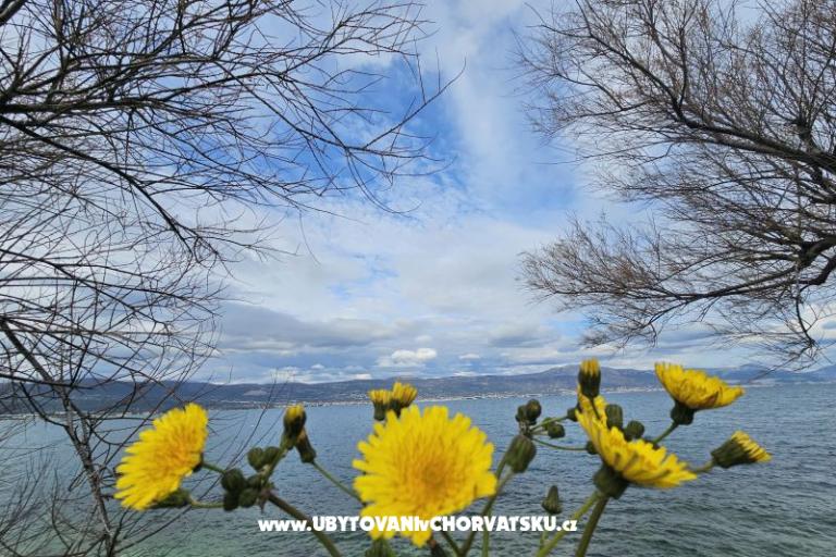 Apartmány Tanja – foto 12