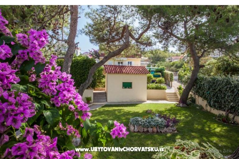 Apartmány Žižić – foto 11