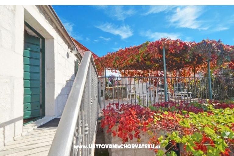 Apartmets Villa Maslina – foto 9