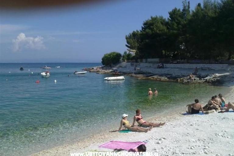 Apartmán Dom Juretic – foto 5