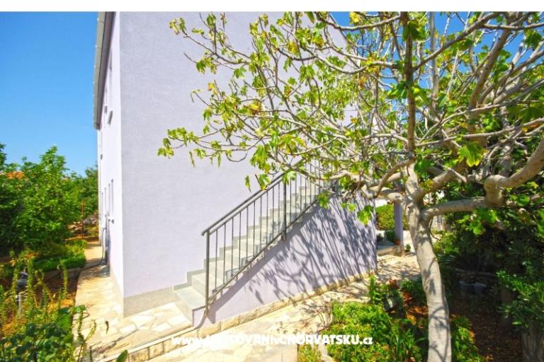 Bosi&amp;co – foto 17