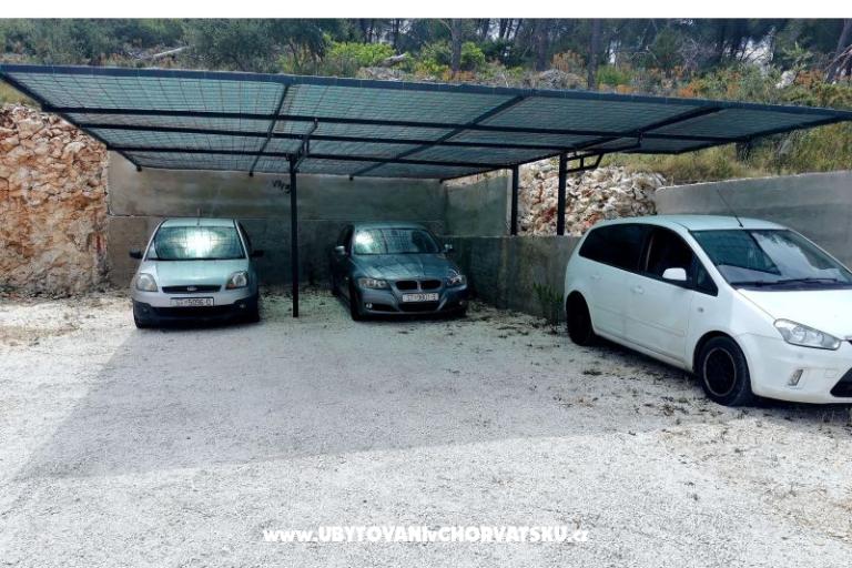 Nevenka – foto 22