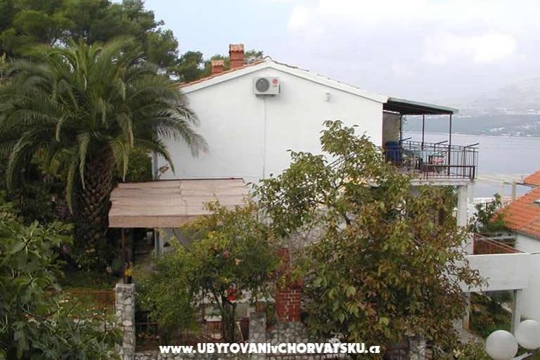 Olimpia apartment – foto 8
