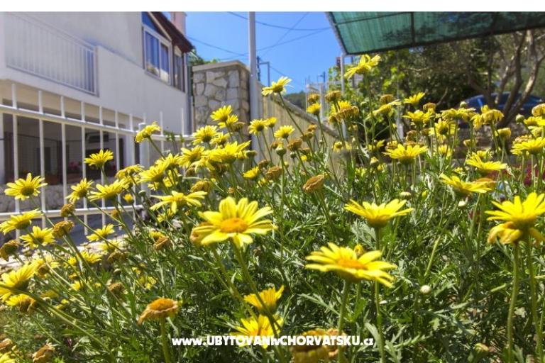 Apartmány Katarina Čiovo – foto 11