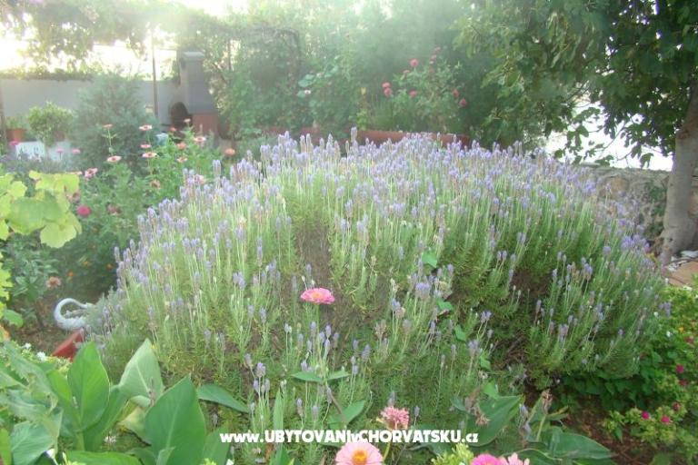 Apartmány Villa Milena – foto 6