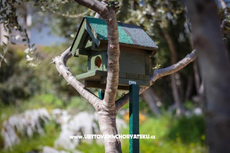 Dom Tea in a beautiful nature – foto 8