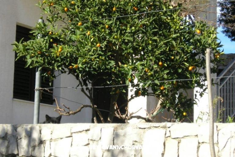 Zele Apartmány – foto 7