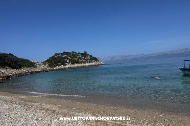 Vila Nautilus luxury Apartmány – foto 12