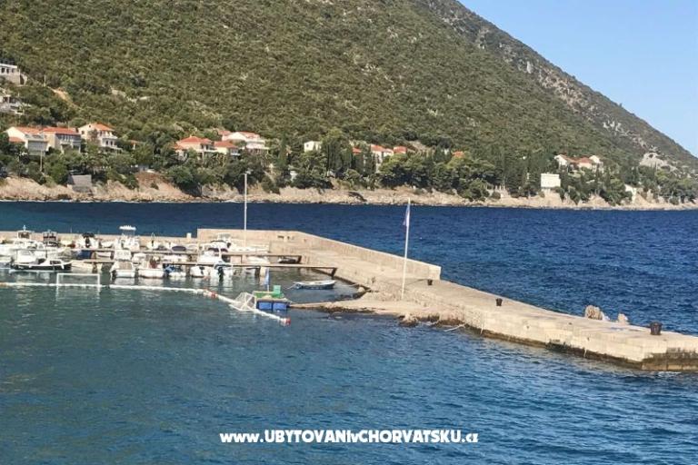 Vila Nautilus luxury Apartmány – foto 22