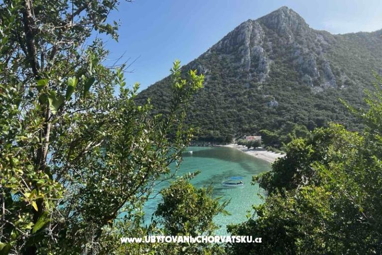 Vila Nautilus luxury Apartmány – foto 9