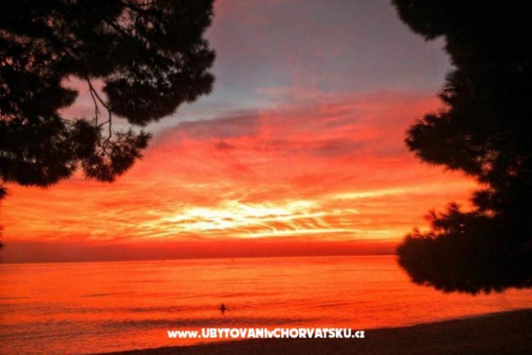 Apartmány Stone  Tučepi  – foto 14