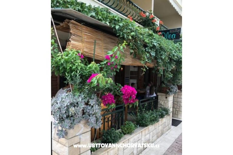 Apartmány Mihaljević-Olea – foto 15