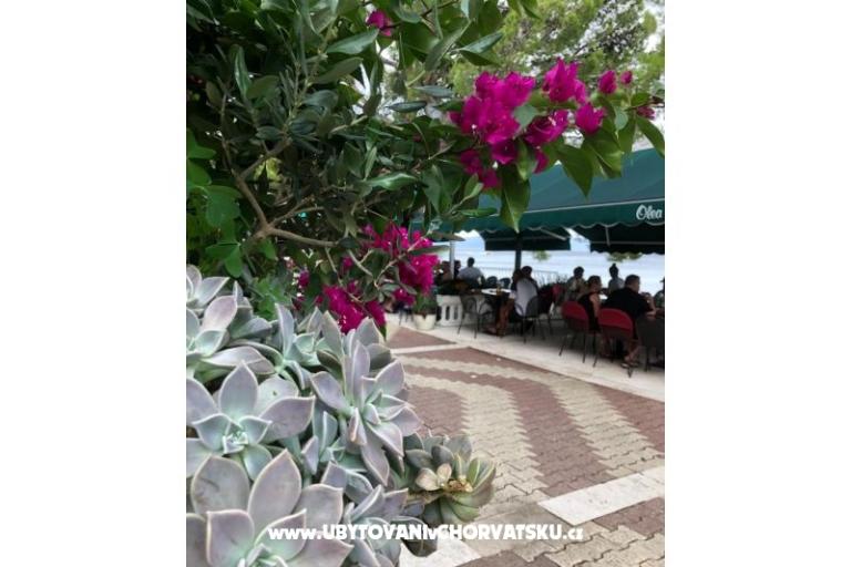 Apartmány Mihaljević-Olea – foto 18