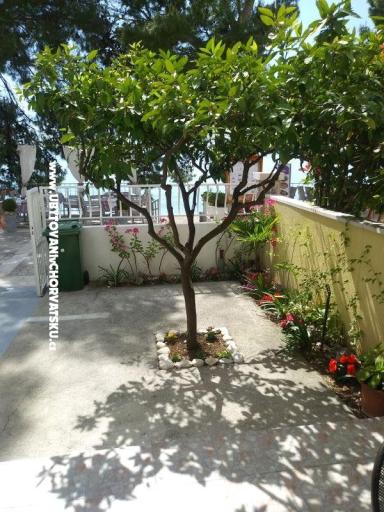 Apartmány Mija – foto 10