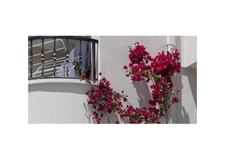 Apartmány Suzana i Zlatan – foto 8