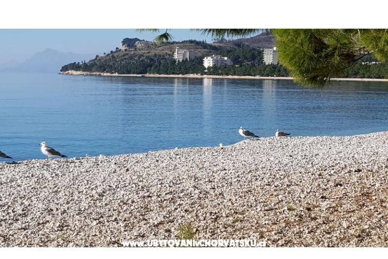 Apartmány IKO - Tučepi – foto 10